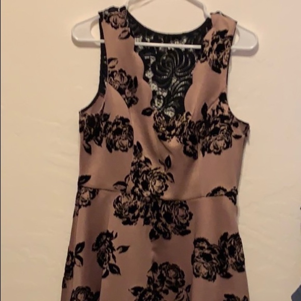 Rose and black lace dress